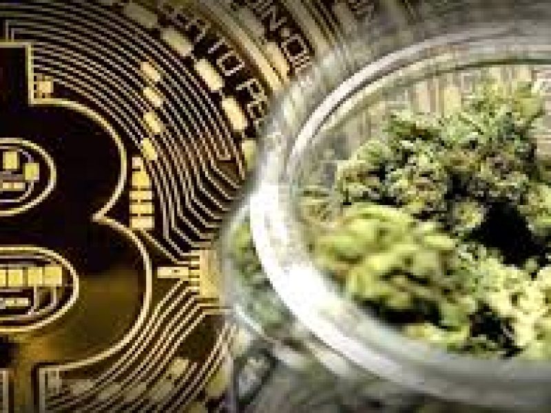 bitcoin weed strain